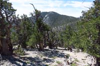 05-Fletcher_Peak_from_the_trail,our_first_destination