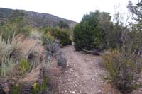 16-connector_trail_from_Telephone_Canyon_Rd_to_Shady_Hollow_Trail