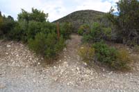 64-Step_Ladder_trail_marker_is_misleading,usage_trail_to_nowhere_to_north