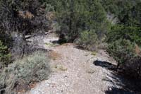 42-looking_downhill_to_Telephone_Cyn_Rd_then_Trough_Trail