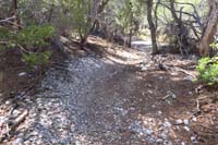 49-looking_at_Tin_Can_Alley_Trail_uphill