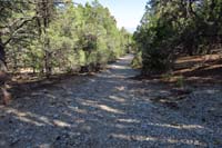 59-scenery_along_old_dirt_road_including_La_Madre_Mt_in_distance_with_it's_landslide_scar
