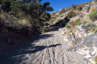 16-heading_up_the_wash,nice_to_see_recent_mountain_bike_tracks