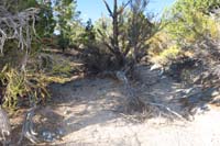 21-Rocky-reassure_C-trail_exits_the_wash_to_the_left