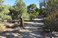 29-Rocky Gorge_47_TJ-looking_back_to_where_I_came_from