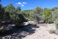 30-Rocky Gorge_47_TJ-looking_north_to_Pinyon_Pine_Trail