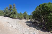 34-Sawmill_13_TJ-looking_back_to_where_I_came_from