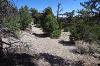38-Blue_Tree_82-take_uphill_route,not_downhill_to_group_camping