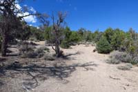 40-Blue_Tree_83-looking_back_to_where_I_came_from_veering_left