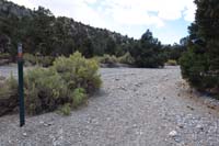 08-new_trail_markers_lead_up_and_down_the_wash
