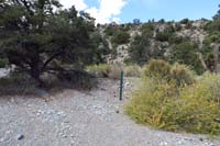 09-Blue_Tree_62B-old_trail_used_to_come_from_that_way,but_new_new_sign_indicates_continue_up_and_down_wash