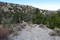 15-looking_back,although_path_blocked_and_not_defined-go_back,then_left_of_Joshua_Tree_to_continue