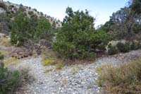 16-looking_back_to_old_trail_that_has_been_wiped_out_and_thus_redirected
