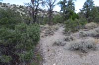 22-back_to_old_uneffected_section_of_the_trail