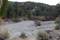 23-trail_wiped_out_by_flood,but_continues_across_the_wash