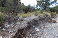 24-another_wiped_out_section,but_trail_continues_if_careful_to_find_it-marked_by_cairns