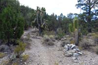 26-trail_continues,quite_well_marked_with_cairns_as_long_as_one_pays_attention