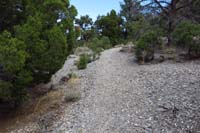29-looking_back_to_normal_trail_after_about_one-third_of_a_mile