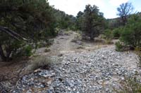 32-was_able_to_follow_my_original_trail_track_to_find_the_continuation_of_the_trail