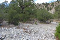 36-path_to_continue_trail_by_crossing_the_wash,but_then_hard_to_find