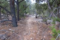 39-meander_to_find_the_well_defined_trail