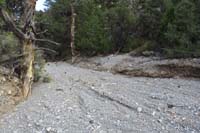 48-Blue_Tree_64_area-trail_continues_after_crossing_the_wash