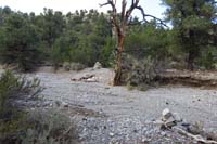 50-trail_continues_across_another_wiped_out_section
