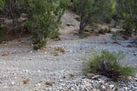 51-trail_continues_across_another_wiped_out_section