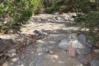 56-Blue_Tree_65-looking_back_to_washed_out_area,again_well_defined_trail