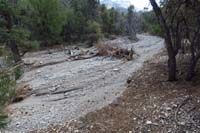 58-trail_wiped_out,but_it_continues_a_dozen_feet_or_so_to_right_of_cliff