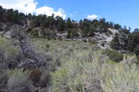 64-Blue_Tree_66-heading_up_the_slope_to_leave_the_canyon