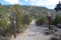 66-looking_back_to_where_I_came_from