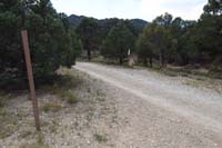 68-Blue_Tree_68-cross_dirt_road_to_continue_trail
