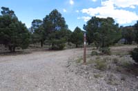 69-Blue_Tree_68-looking_back_towards_Lee_Canyon_Rd