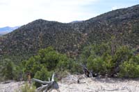 41-scenic_view_along_the_trail_with_fall_colors