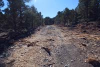 36-looking_south_on_Mud_Springs_Alternate_Rd,some_debris_in_the_road,but_looks_nice