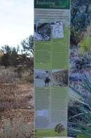 36-Exploring_the_botanical_frontier-interpretive_sign