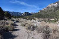 60-Escarpment_Trail_offers_very_nice_scenic_views