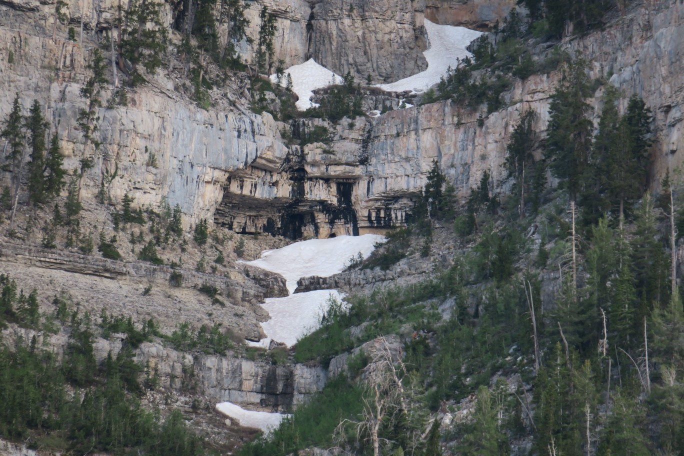 16-zoom_view_of_snow