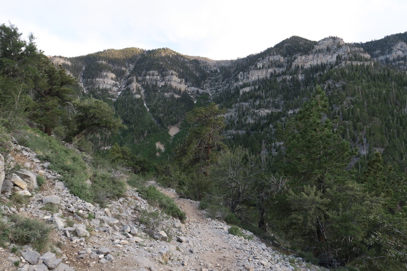 19-scenery_along_the_trail