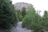 02-nice_forest_scenery_late_day_hike_with_Cathedral_Rock_ahead