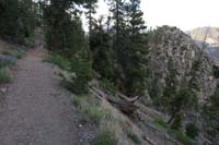 06-trail_scenery_with_Cathedral_Rock_ahead