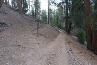 08-trail_marker_indicating_trail_to_R,L_blocked_leading_to_top_of_Little_Falls