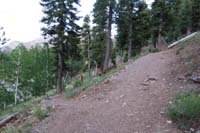 21-looking_back_to_Little_Falls_trail_to_R,trail_to_parking_lot_to_L