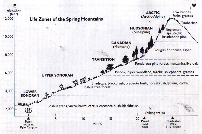 life_zones