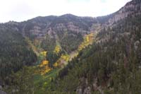 Fall-in_Mt_Charleston