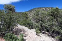 07-trail_from_CwbyShady
