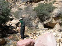 31-Bruce_traversing_rocks_with_the_hopes_of_not_getting_wet