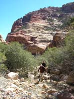 32-Dave_and_Larry_traversing_the_rocks