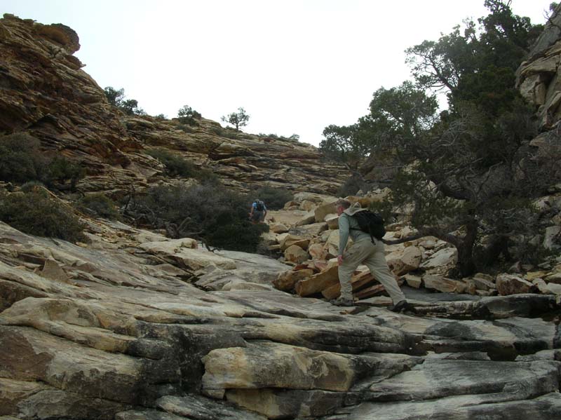 19-making_our_way_up_the_steep_terracing